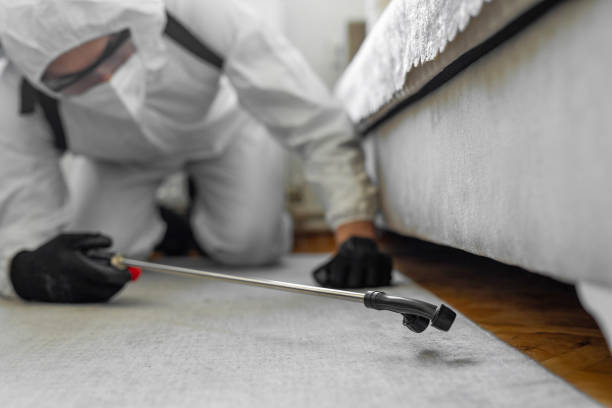 Professional Termite Control technician working in Murrieta, CA