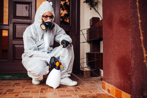 Reliable Termite Control contractor in Murrieta, CA by Nex Pest Control